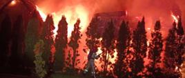 Na zdjęciu widać palący się garaż widać ogromną ilość ognia. Zdjęcie wykonane w nocy. 