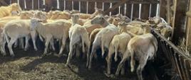 Lekcja, której nie da się odbyć w szkolnej ławce 