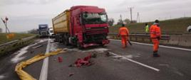 Na zdjęciu widoczne miejsce po wypadku drogowym na pasach autostrady A4 na terenie powiatu strzeleckiego w województwie opolskim. Zdjęcie przedstawia w centralnym miejscu kadru rozbity ciągnik siodłowy marki DAF koloru czerwonego (rozbity zderzak i dolna część przodu kabiny) wraz z zapiętą naczepą do przewozu materiałów sypki koloru żółtego. Przed pojazdem rozbite plastiki koloru czerwonego. Za pojazdem stoi biały samochód typu bus od obsługi autostrady a za nim widać przód niebieskiej ciężarówki stojącej na pasie awaryjnym autostrady w tym samym kierunku. Przed czerwoną cieżarówką dwie osoby (obsługa autostrady) ubrani w jaskrawo pomarańczowe uniformy. Jeden z mężczyzn obrócony do fotografującego plecami, niesie miotłę w prawej ręce. na przeciwnym pasie w prawej części kadru stoi mężczyzna w jaskrawo żółtym uniformie, patrzy w kierunku samochodów za uszkodzoną ciężarówką. Na drugim planie widać wały w pasie zieleni a na nich słupy energetyczne.
Po lewej stronie zdjęcia na pierwszym planie widać zniszczone dwa słupki z lampkami na szczycie skrzyżowane w stosunku do siebie w 2/3 wysokości. Na jednym ze słupków tabliczka zwrócona w stronę fotografującego koloru żółtego z czarnym napisem "2 km". W dole kadry (pierwszy plan) materiał sztuczny (plandeka koloru żółtego) leżąca w kształcie litery C sięgająca niemal prawego przedniego koła ciągnika siodłowego DAF.
