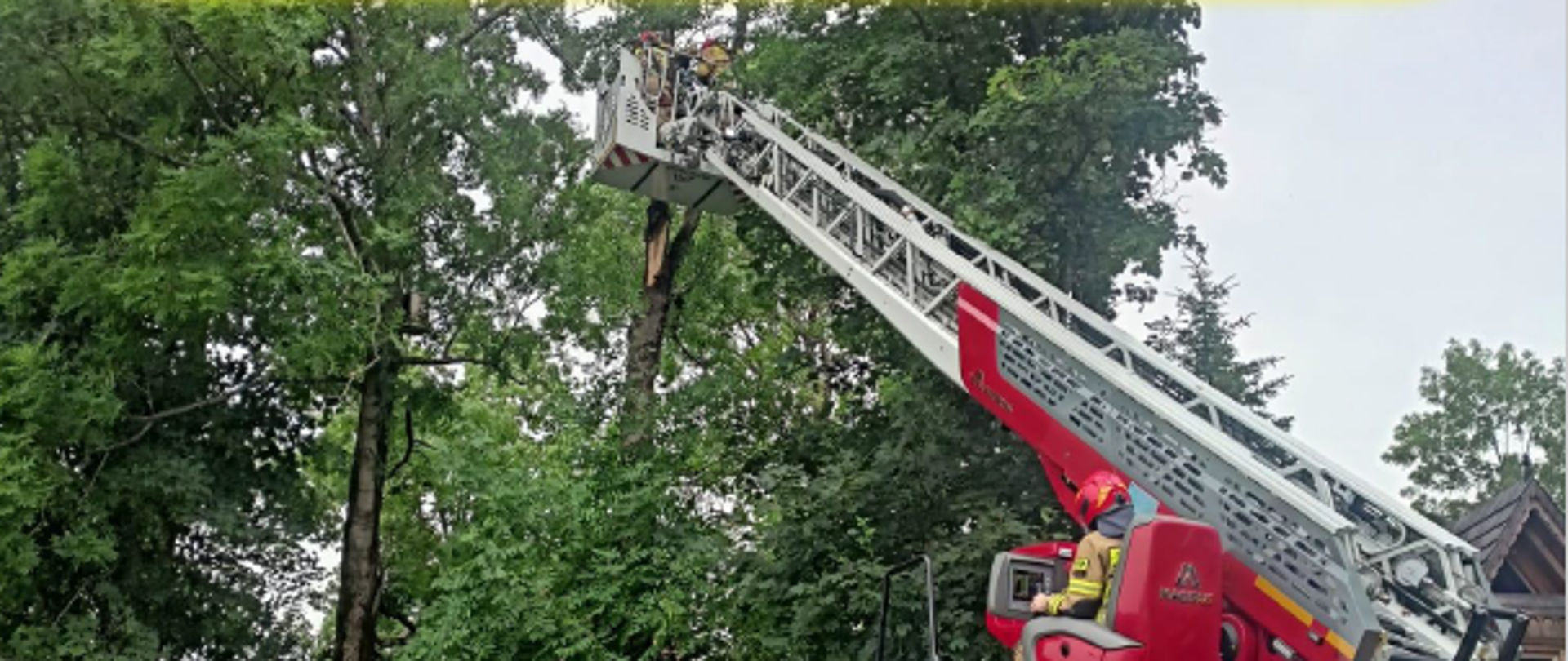 Wyjazdy do zdarzeń w czerwcu 2024 r.