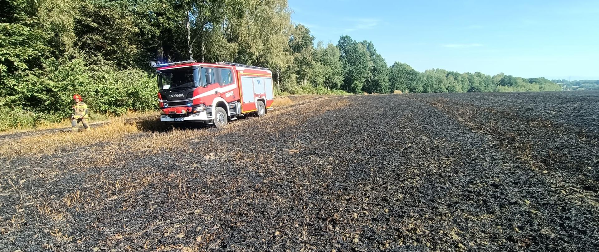 Na zdjęciu samochód strażacki oraz strażak na ugaszonym polu zboża 