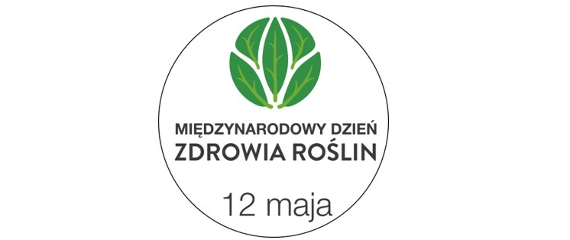 Wpisane w koło od góry zielone logo złożone z liści, pod nim napis MDZR 12 maja