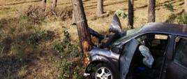Zdjęcie przedstawia wypadek samochodu osobowego, który uderzył w drzewo na drodze krajowej nr 11. Na zdjęciu widzimy wrak pojazdu po uderzeniu w drzewo. Zdjęcie wykonane w porze dziennej na poboczu drogi krajowej nr 11
