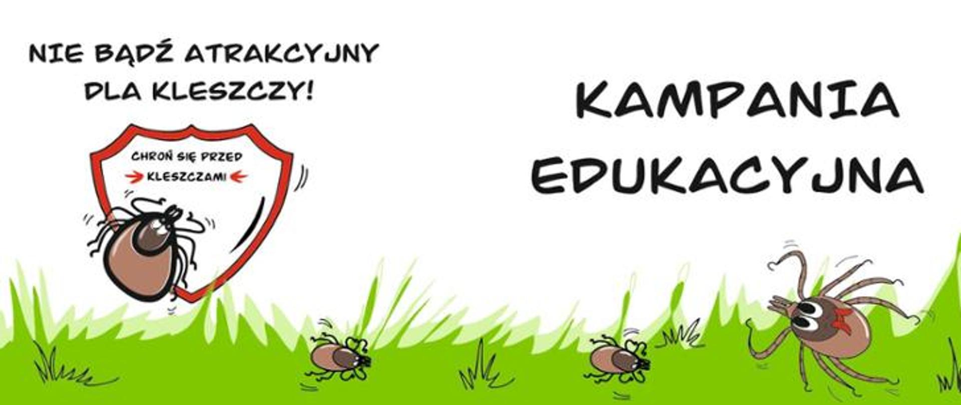 Kampania edukacyjna kleszcze