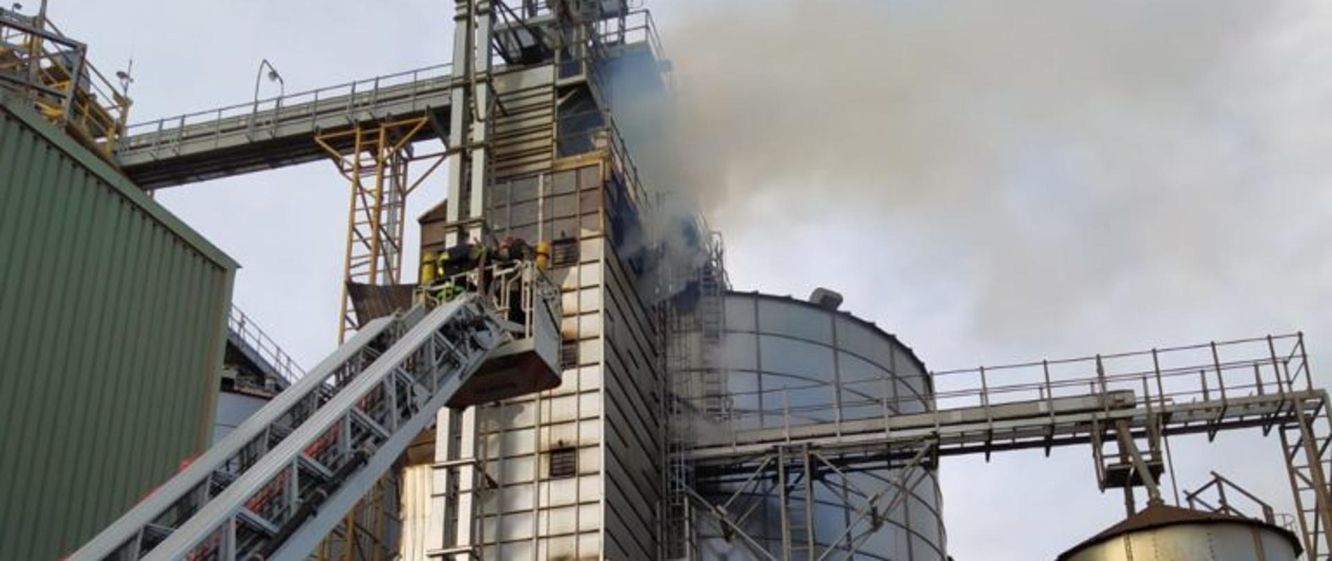 Zdjęcie przedstawia zbiornik kukurydzy w którym doszło do pożaru. Na zdjęciu widoczni są ratownicy, którzy pracują w koszu wysuniętej drabiny samochodu SD 37 Iveco. 