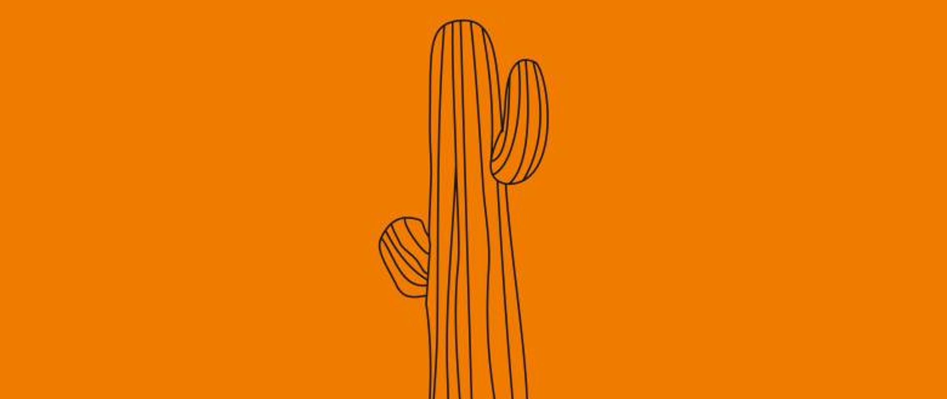plakat, na pomarańczowym tle grafika kaktusa