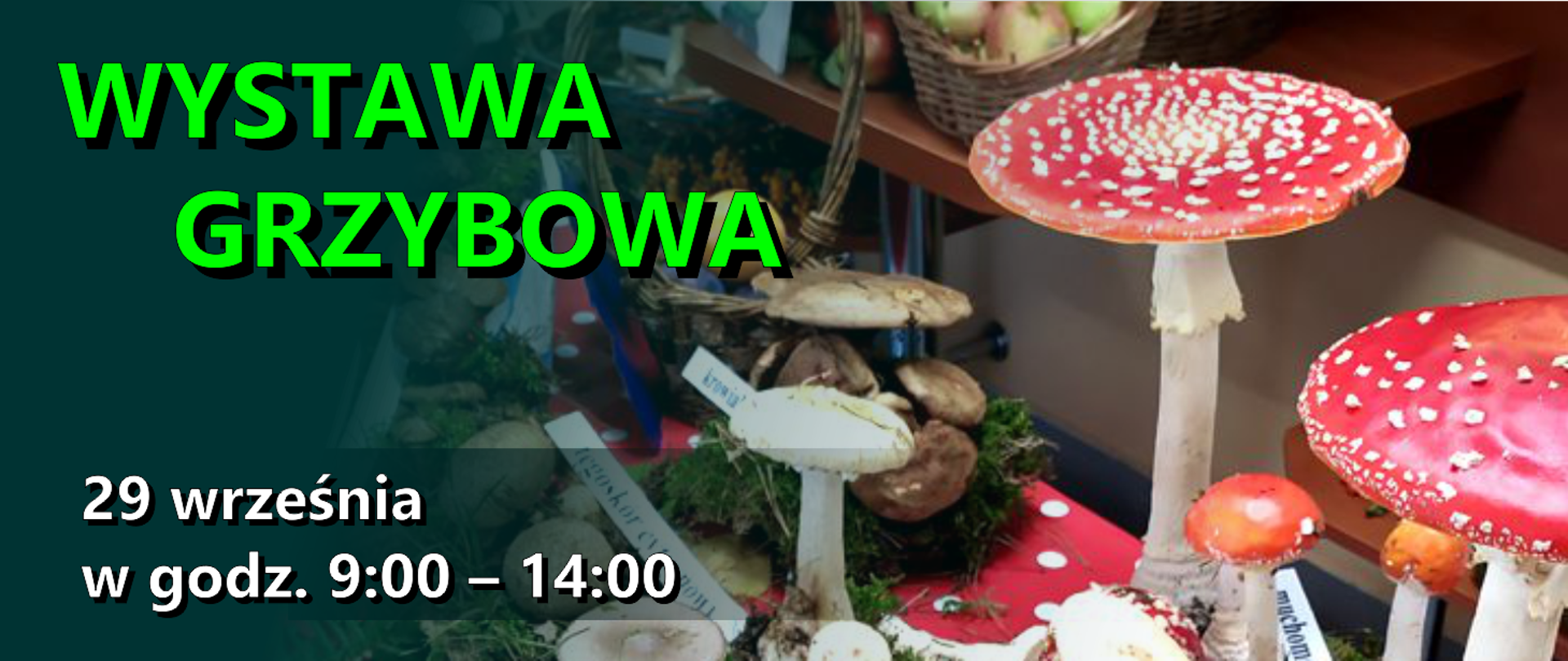 Wystawa grzybowa 2022