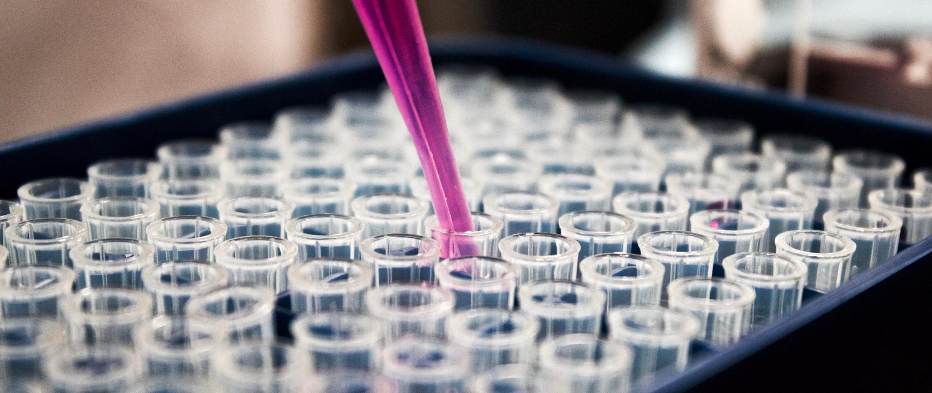 na zdjęciu widać próbówki laboratoryjne