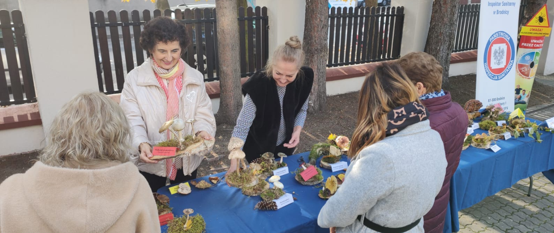 Pokaz grzybów w PSSE w Brodnicy