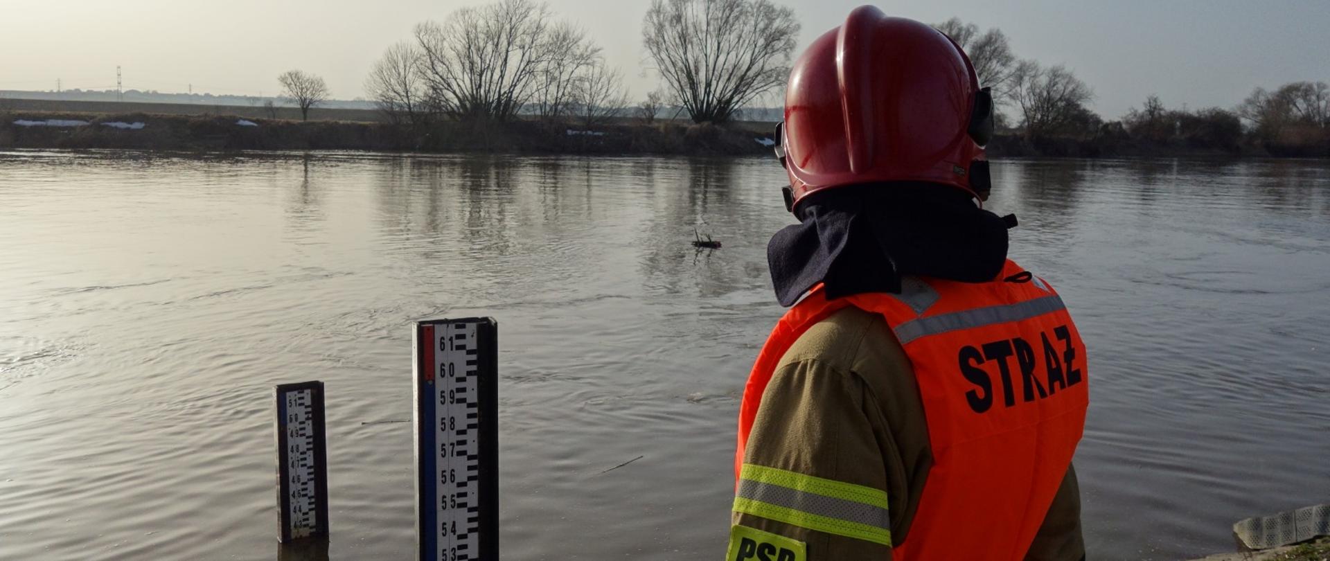 Na zdjęciu strażak PSP w ubraniu specjalnym koloru piaskowego z czerwonym hełmem na głowie i kamizelką asekuracyjną stoi na brzegu Odry w Opolu i monitoruje wysokość wody na wodowskazie.
