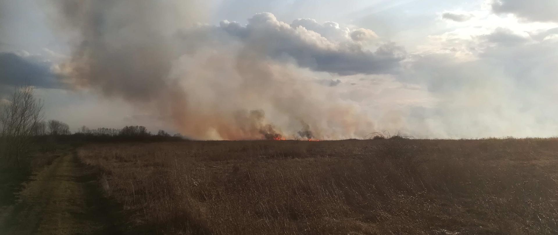 Zdjęcie zrobione na rozległym terenie, po lewej stronie stronie biegnie droga gruntowa na horyzoncie widać płomienie z palącej się trawy i unoszący się dym. Na zachmurzonym niebie widać promienie słońca zza chmur.
