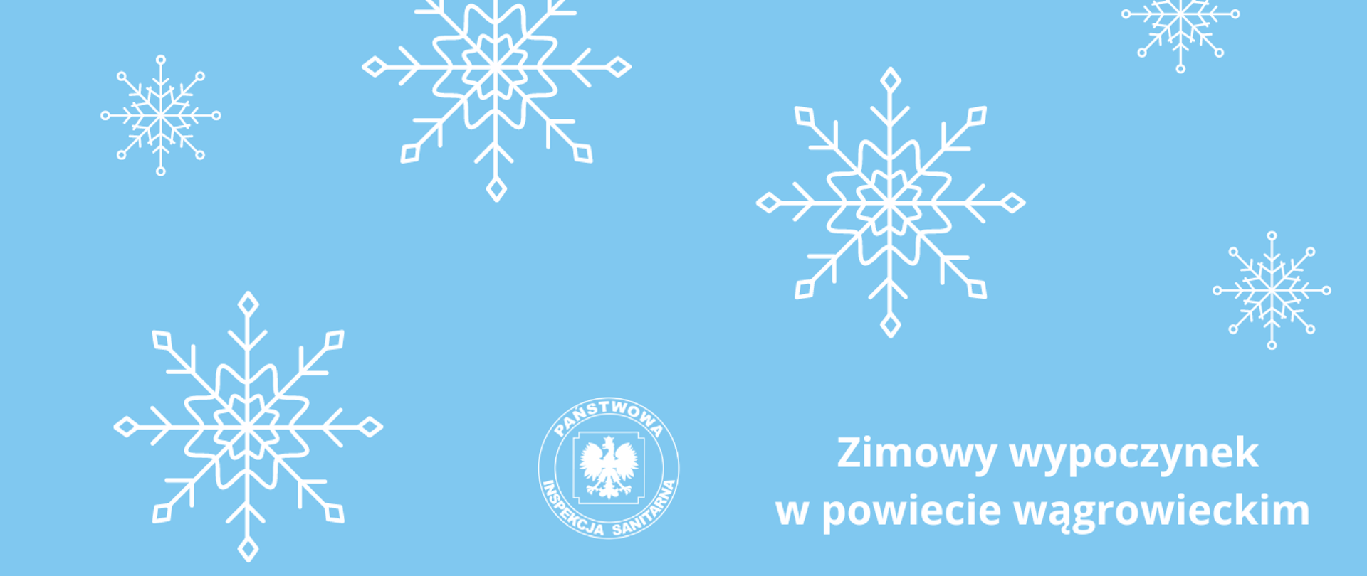 Grafika przedstawia płatki śniegu na błękitnym tle