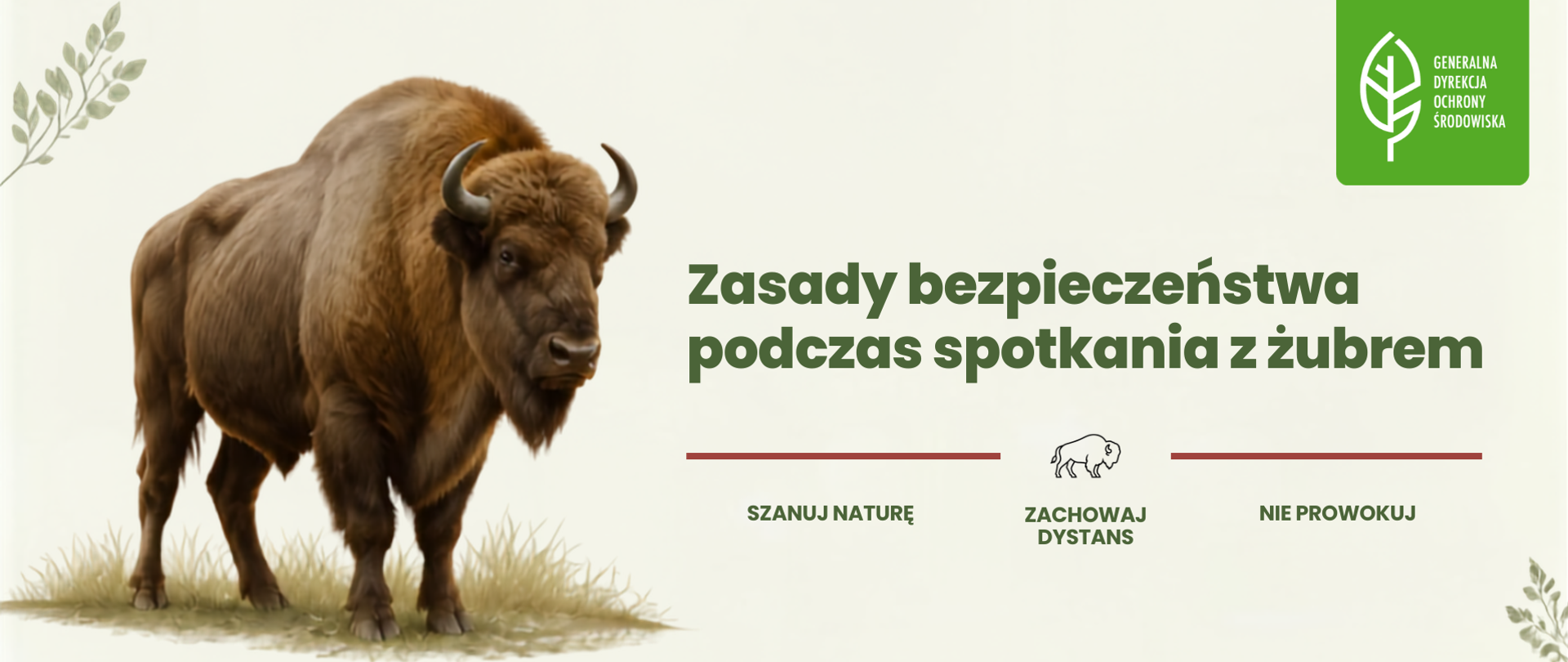 Po lewej stronie dorosły osobnik żubra. W prawym górnym rogu logotyp Generalnej Dyrekcji Ochrony Środowiska (biały liść;. Poniżej napisy: Zasady bezpieczeństwa podczas spotkania z żubrem; szanuj naturę, zachowaj dystans, nie prowokuj. 