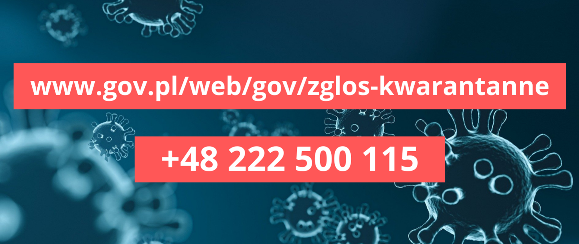 Zdjęcie przedstawia numer telefonu na infolinię oraz link do wypełnienia formularza w sprawach związanych z COVID-19