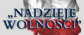 Tło szare. W centrum grafiki fragment zarysu mapy Polski w biało-czerwonych kolorach oraz tytuł koncertu "Nadzieje wolności". 