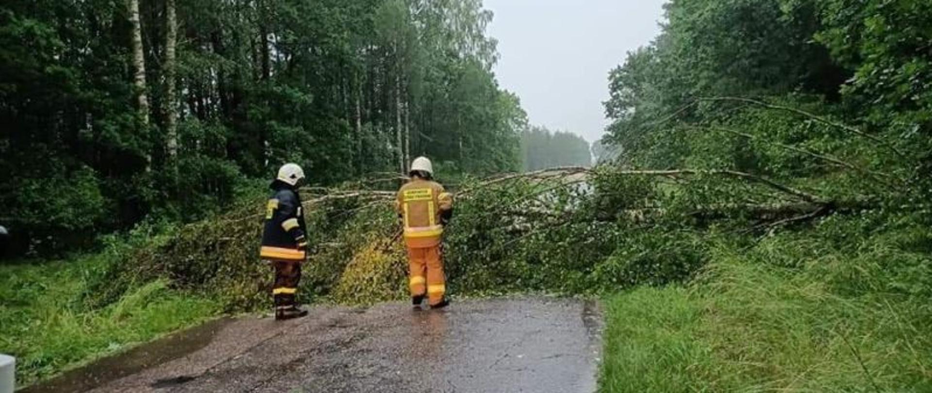 Zdjęcie wykonane w dzień. Centralny punkt stanowi powalone drzewo i działający przy nim strażacy. Strażacy tną drzewo na mniejsze kawałki. Drzewo leży w poprzek drogi.