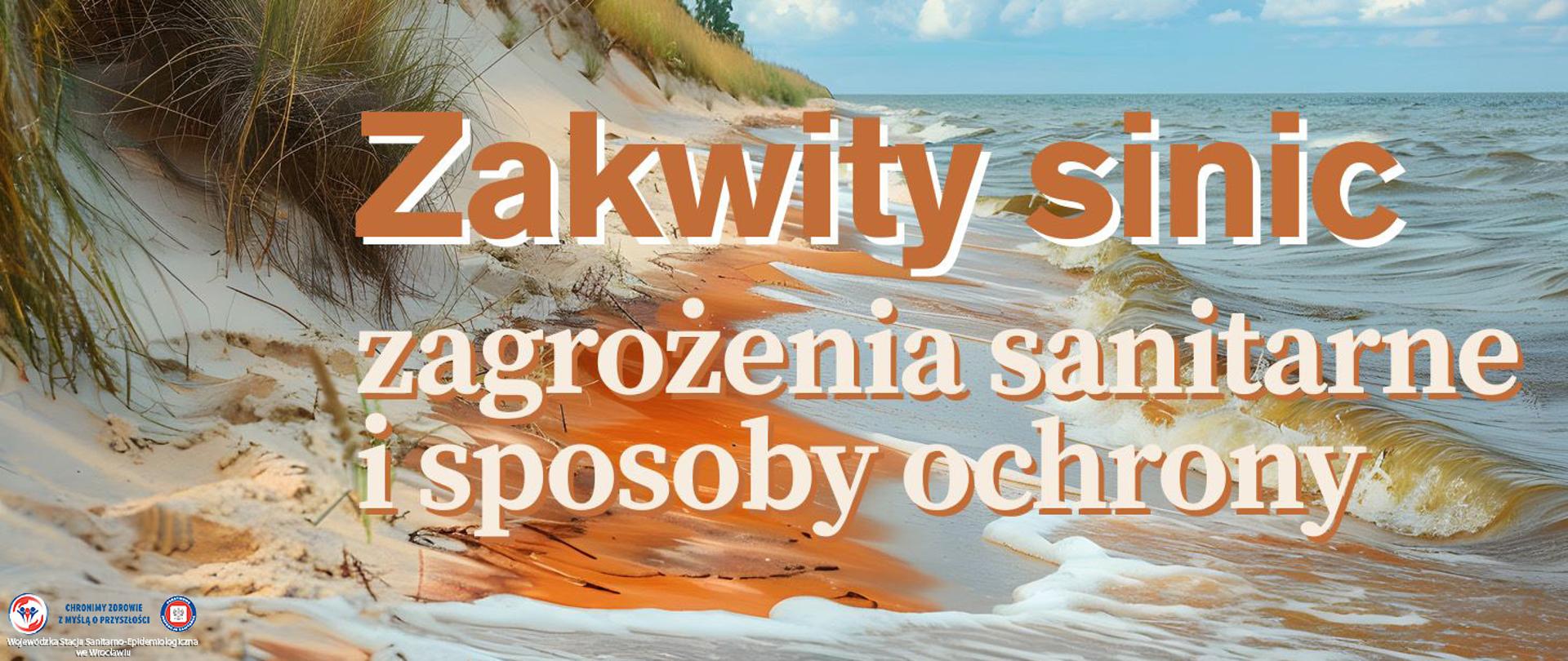 Nadmorska plaża na której brzegu znajduje się wyrzucona warstwa rudno-brunatnych sinic. Woda morska ma także kolor zielono-brunatny.