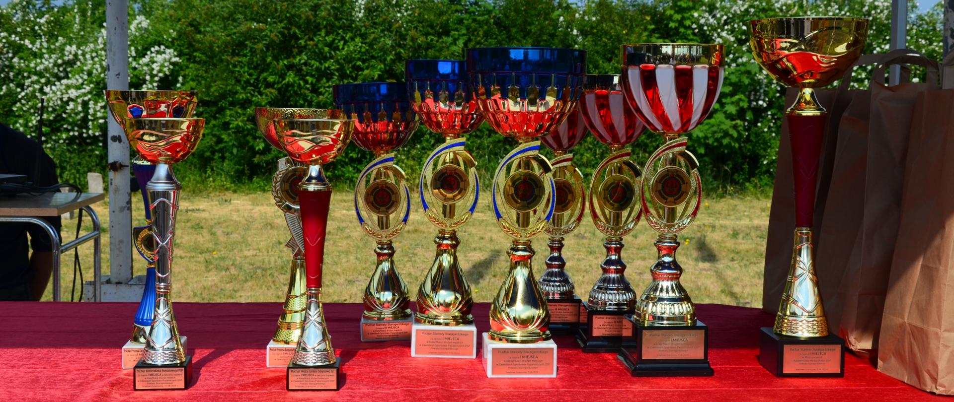Zdjęcie przedstawia puchary dla zwycięzców, na czerwonym suknie, w tle las