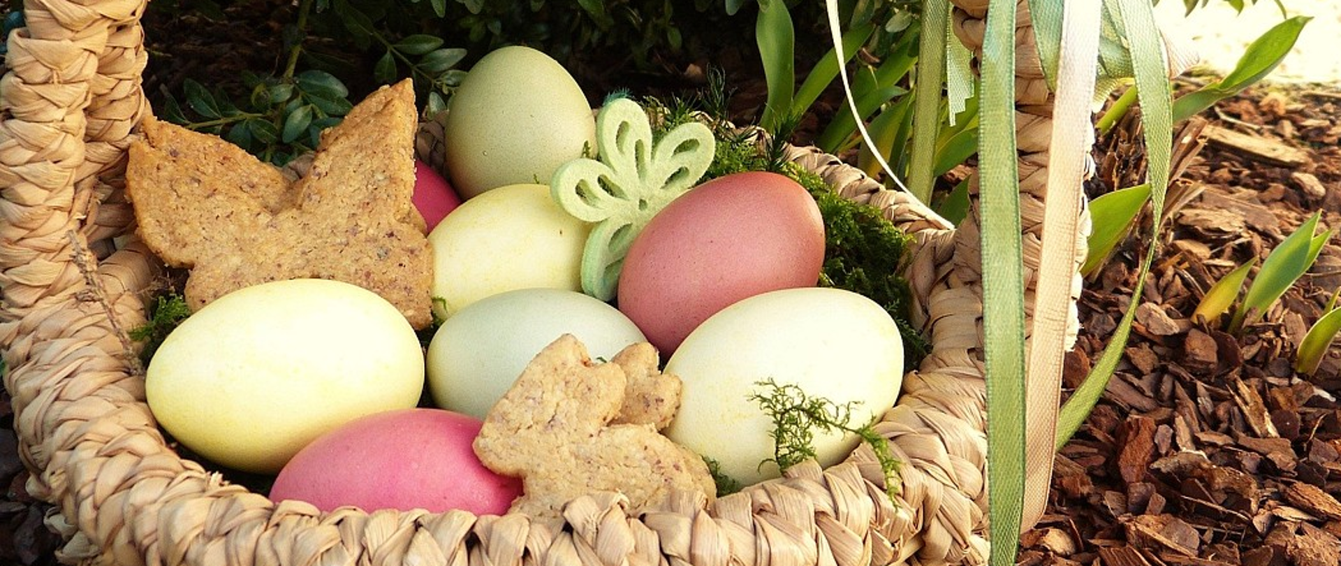 Koszyczek wielkanocny z kolorowymi pisankami i ciasteczkami w kształcie zajączka i motyla, ustawiony wśród roślin ogrodowych. 