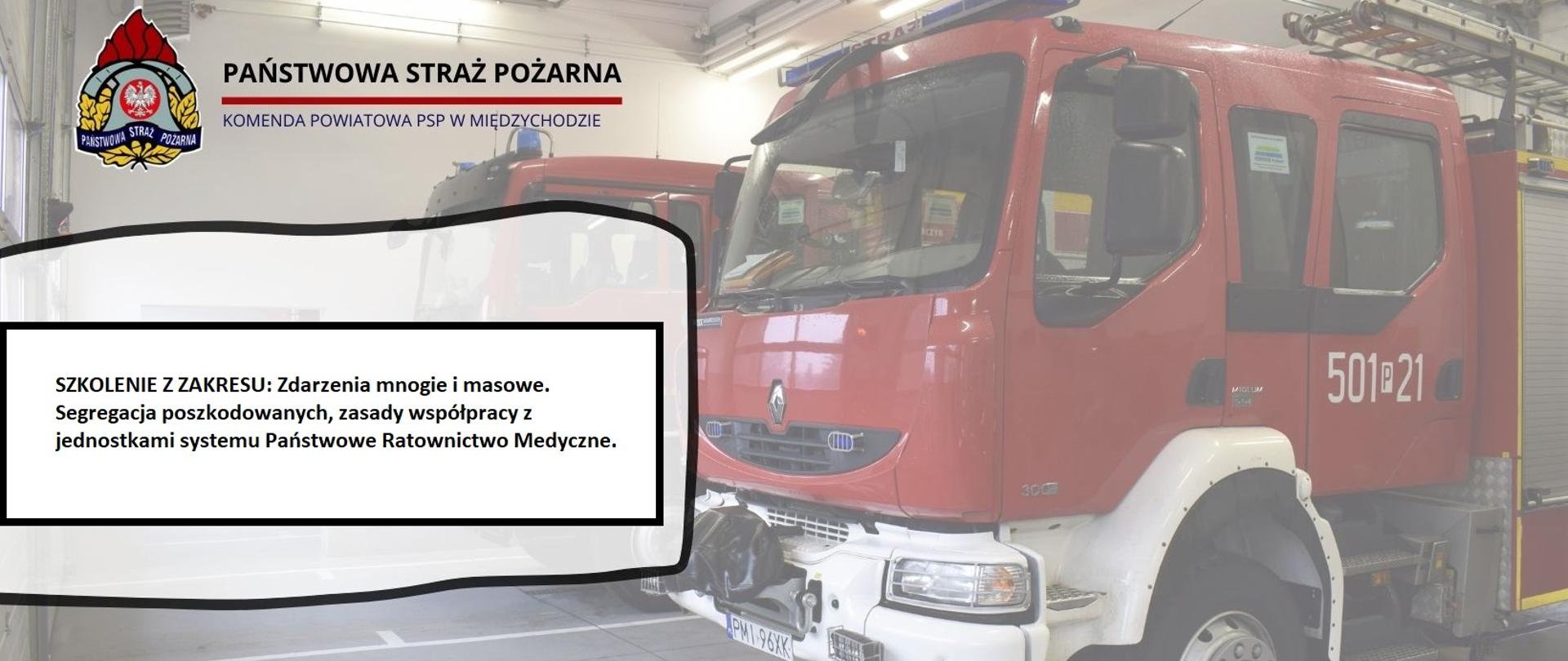 grafika_-_video_szkolenie