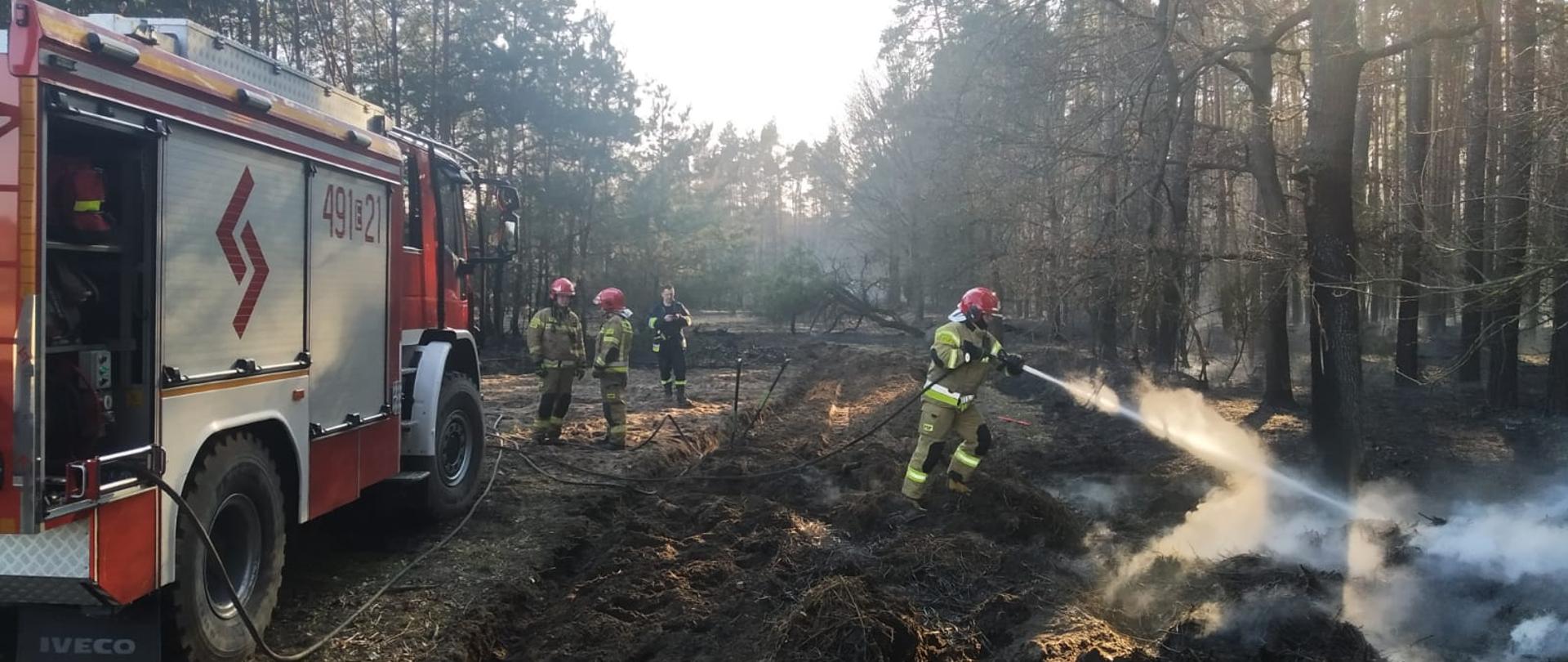 Strażacy gaszą pożar lasu