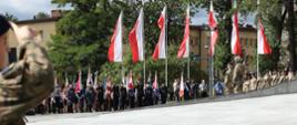 Szeroki plac miejski podczas uroczystości państwowej. Na pierwszym planie żołnierz w mundurze polowym salutujący, w tle rząd wysokich masztów z powiewającymi biało-czerwonymi flagami Polski. Pod flagami stoi grupa osób w mundurach galowych ze sztandarami oraz żołnierze w szyku, część z bronią. Nawierzchnia placu to jasne płyty kamienne.