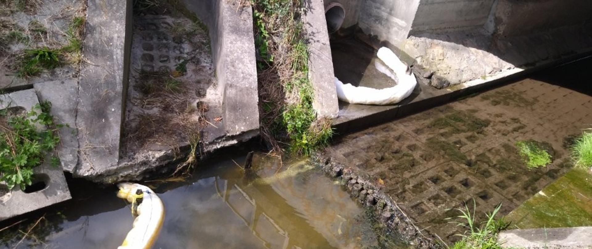 Potok Młynówka podczas oględzin inspektorów WIOŚ w Rzeszowie