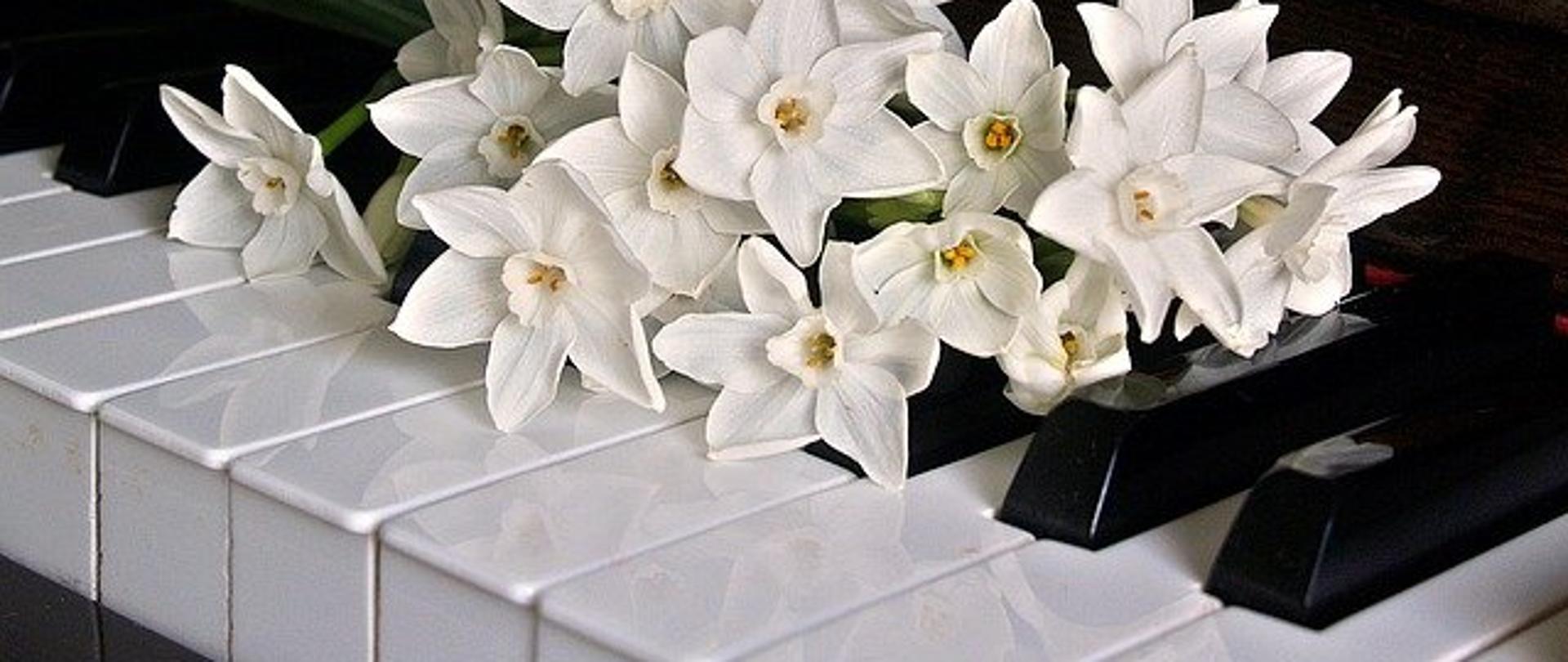 Fragment klawiatury fortepianu, na którym leżą białe kwiaty.