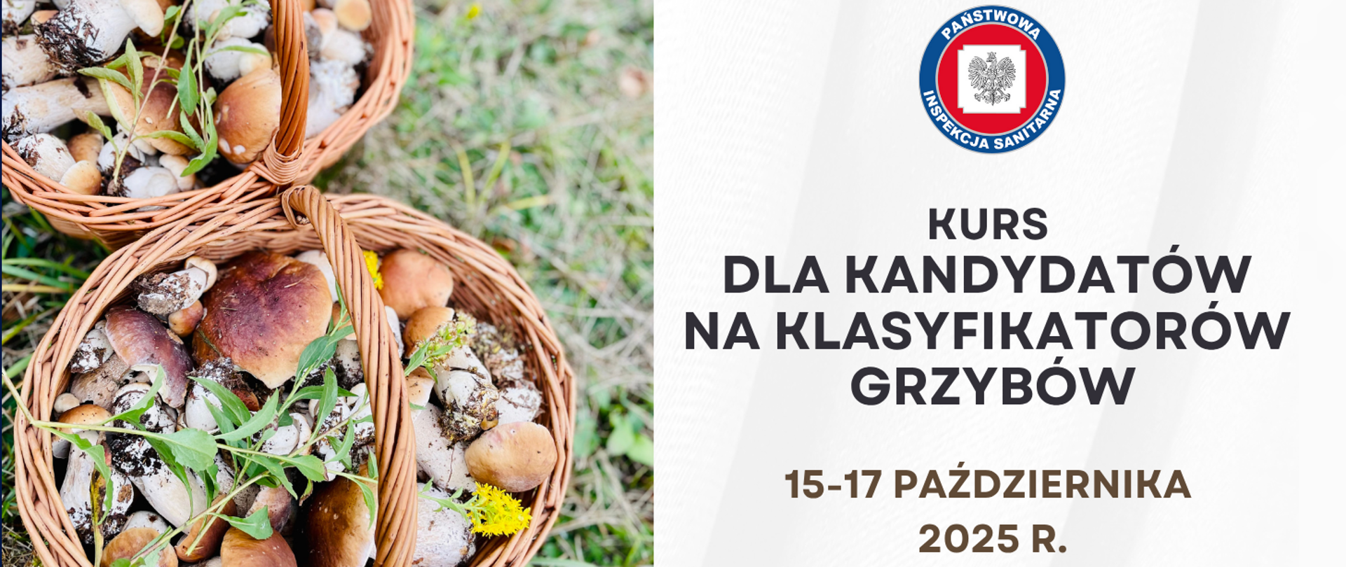 Kurs dla kandydatów na klasyfikatorów grzybów - grafika ilustracyjna