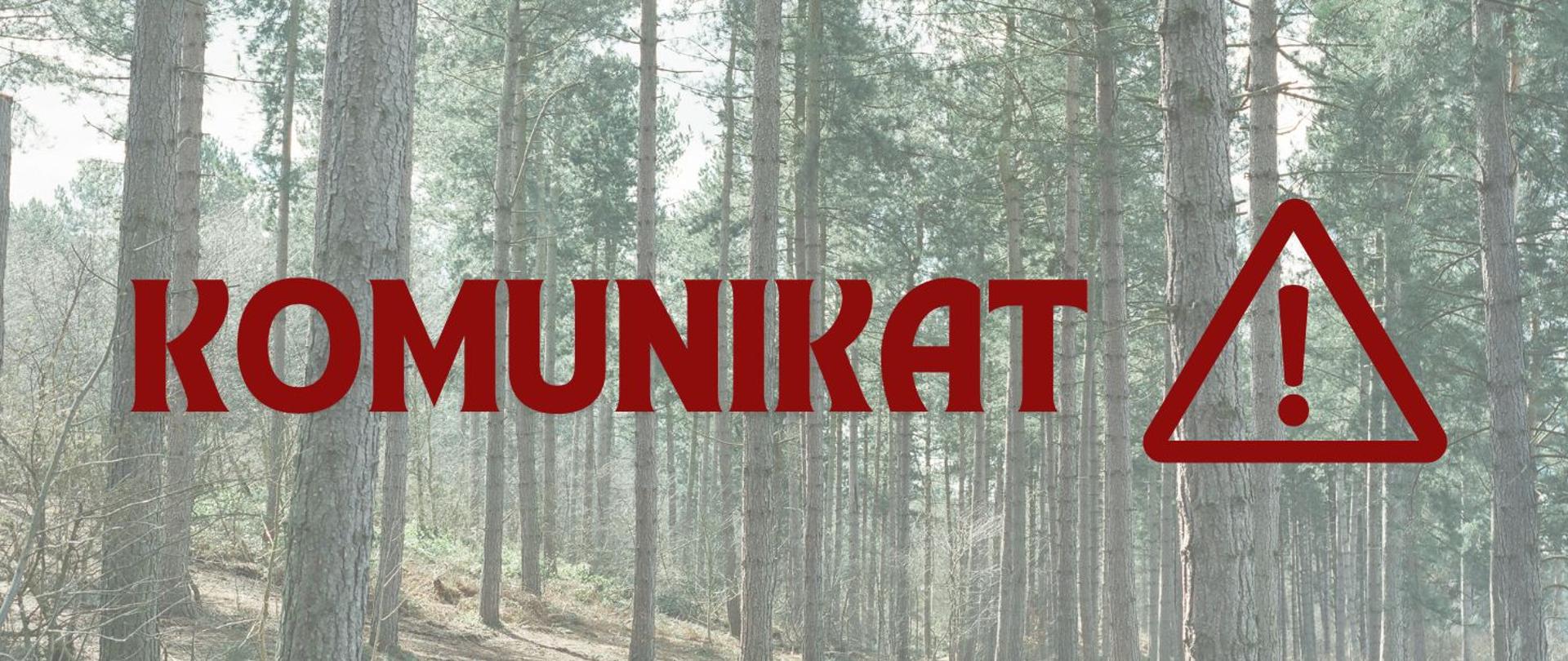 Komunikat