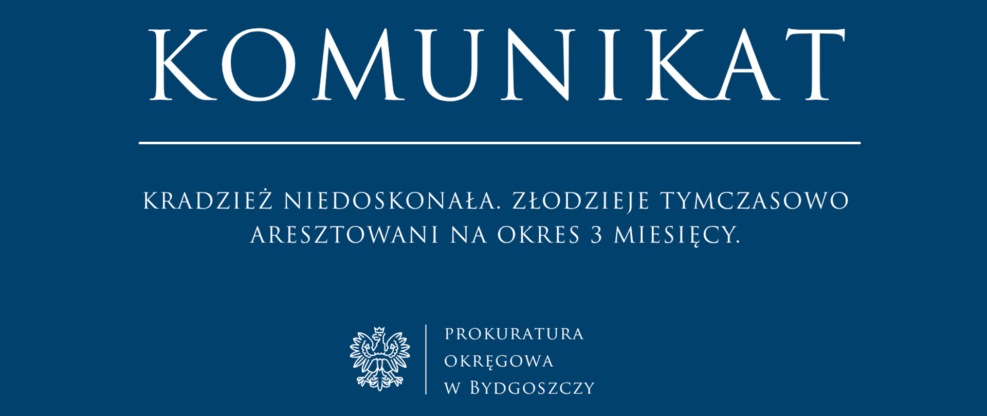 Kradzież niedoskonała. Złodzieje tymczasowo aresztowani na okres 3 miesięcy.