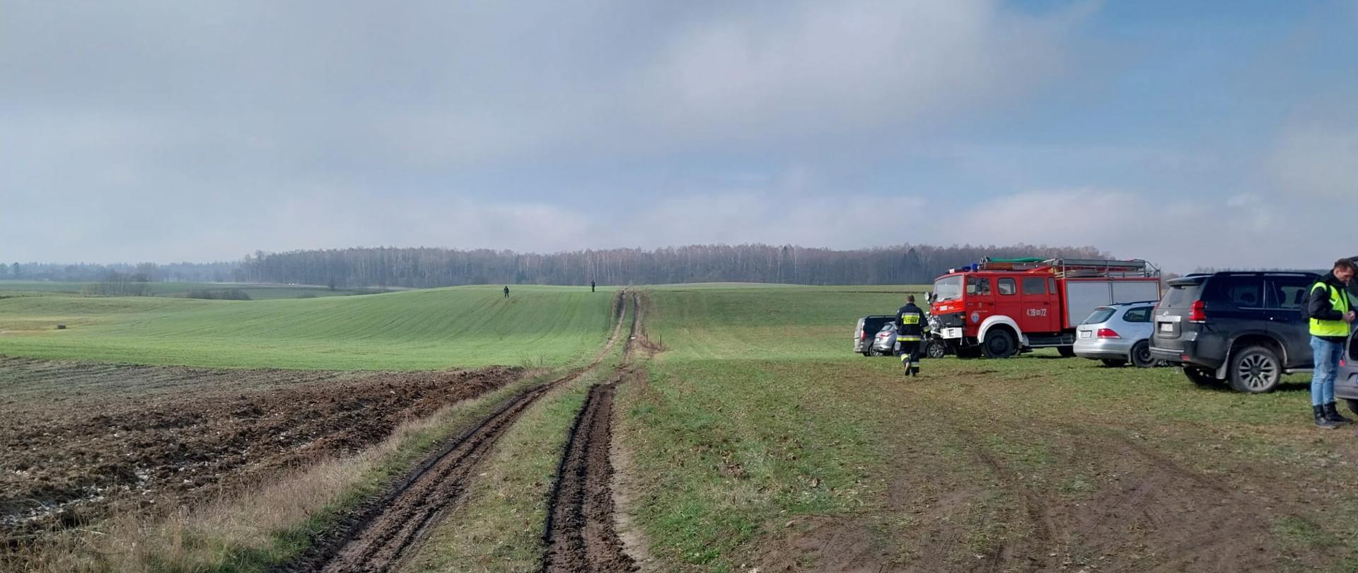 Obszar poszukiwań - łąka