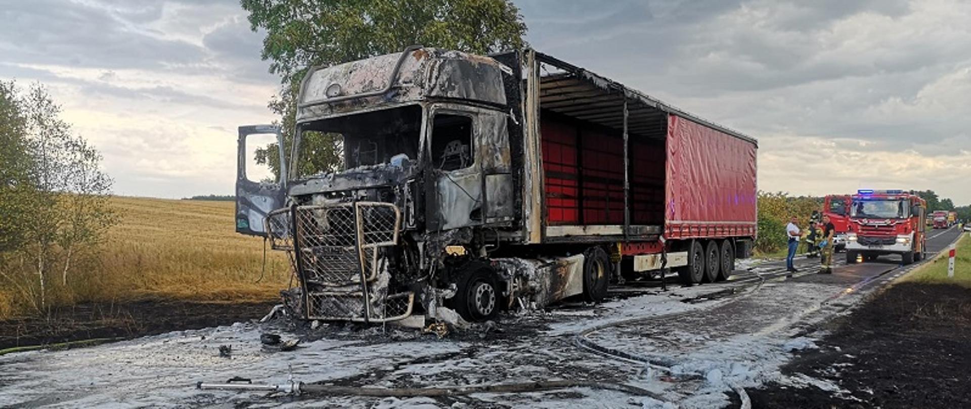 Zdęcie pożaru samochodu ciężarowego na DW 162