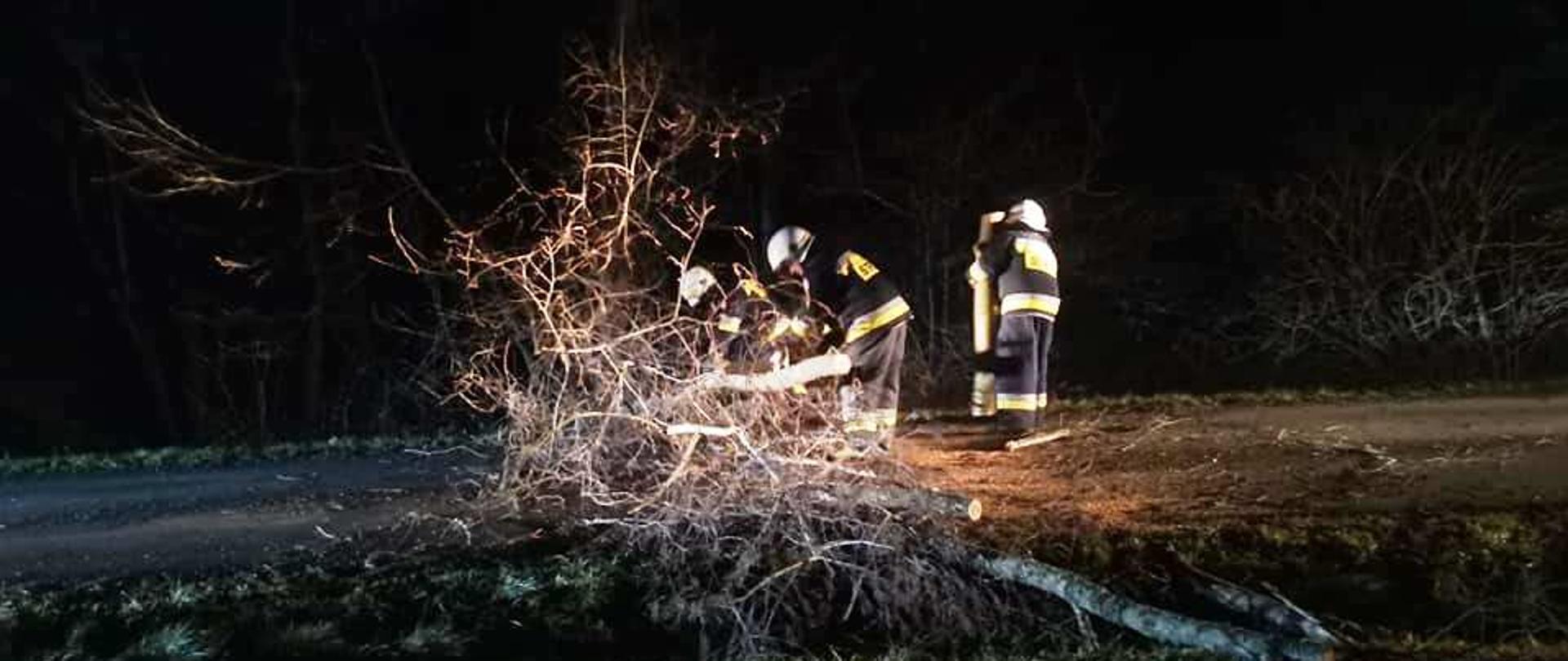 Strażacy z OSP Stara Wieś usuwają przy pomocy piły mechanicznej powalone drzewo z drogi.