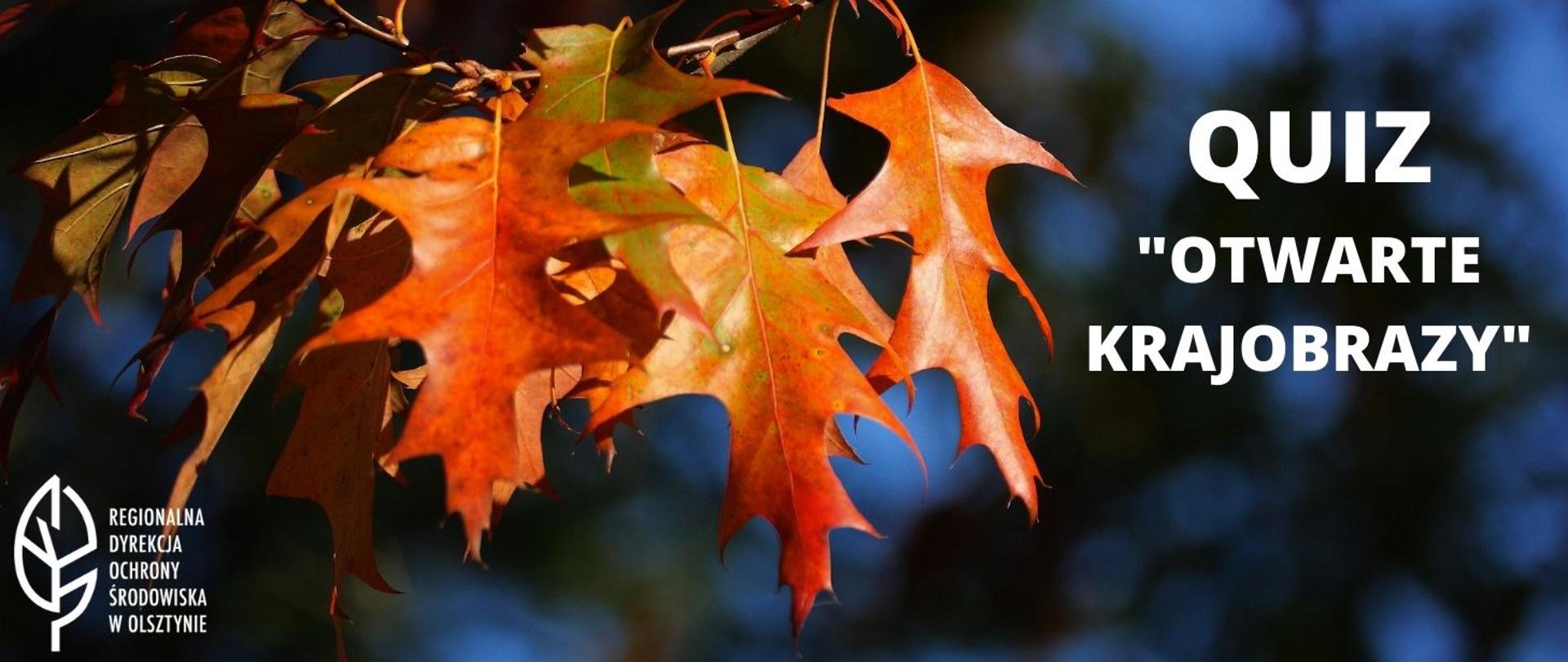 Kolorowe liście na tle błękitnego nieba. W lewym dolnym rogu logo Regionalnej Dyrekcji Ochrony Środowiska w Olsztynie. W prawym górnym rogu napis: Quiz otwarte krajobrazy.
