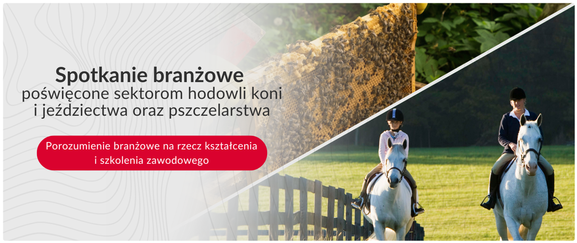 Spotkanie branżowe poświęcone sektorom hodowli koni i jeździectwa oraz pszczelarstwa