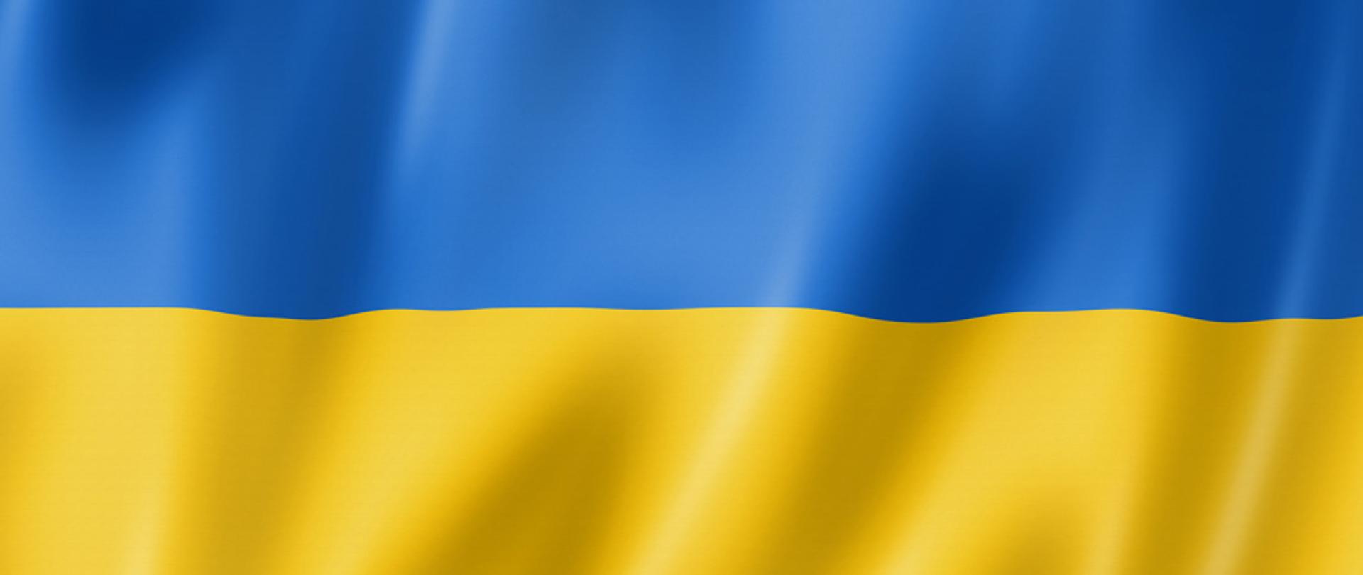 Niebiesko-żółta flaga