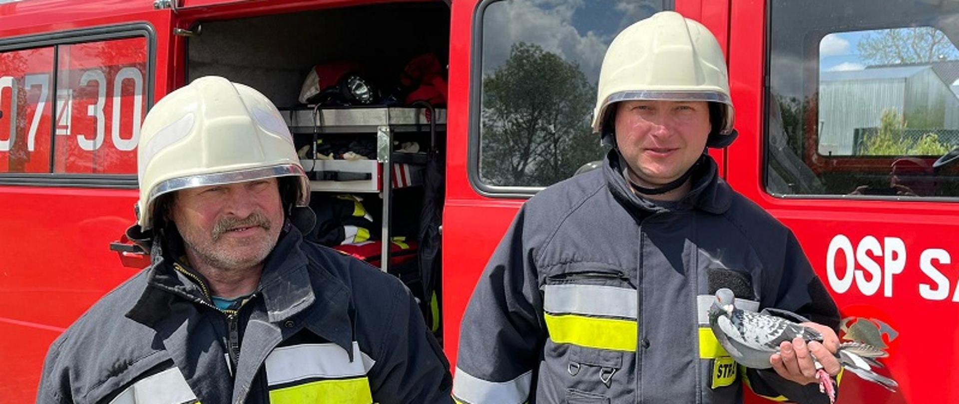 Zdjęcie przedstawia strażaków z OSP w Sadkowie w ubraniach specjalnych i hełmach na tle samochodu strażackiego. W lewej dłoni strażaka z prawej strony zdjęcia znajduje się uwolniony z uwięzi gołąb
