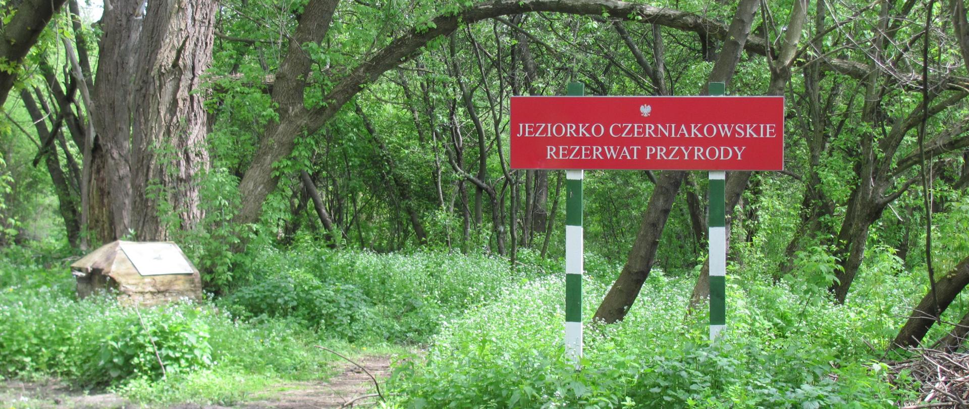 Las, zieleń, przy ścieżce stoi czerwona tablica z napisem "Jeziorko Czerniakowskie Rezerwat Przyrody"