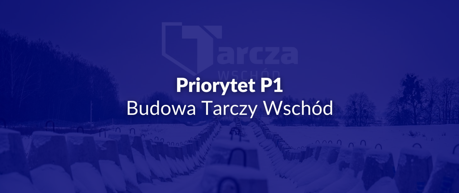 Priorytet P1